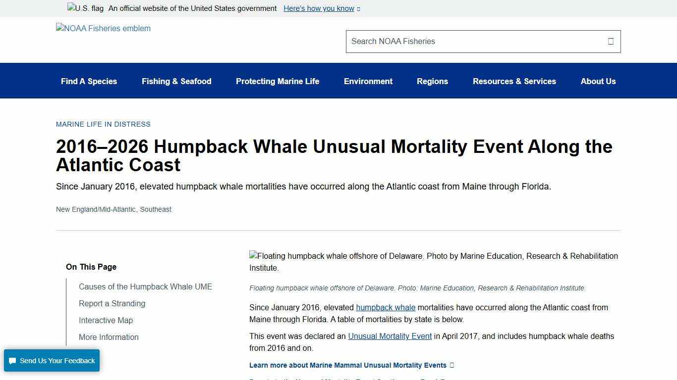 2016–2026 Humpback Whale Unusual Mortality Event Along the Atlantic Coast NOAA Fisheries